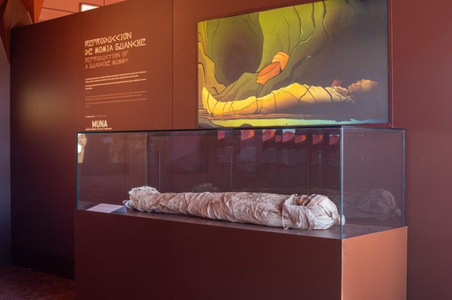 Teide Legends Exhibition Entry Ticket - What You Can Expect Inside the Science and Legend Exhibition