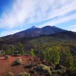 Teide National Park for smaller groups - The Ancient Pine of El Pino Gordo