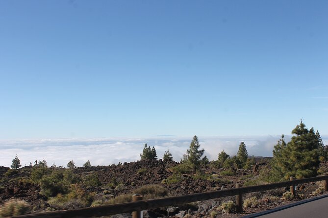 Teide Volcano National Park Quad Biking Tour - Small-Group Dynamics and Personalized Service