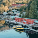 Telegraph Cove: 3-Hour Whale Watching Tour in a Zodiac Boat - The Excitement of Wildlife Encounters in BCs Coastal Waters