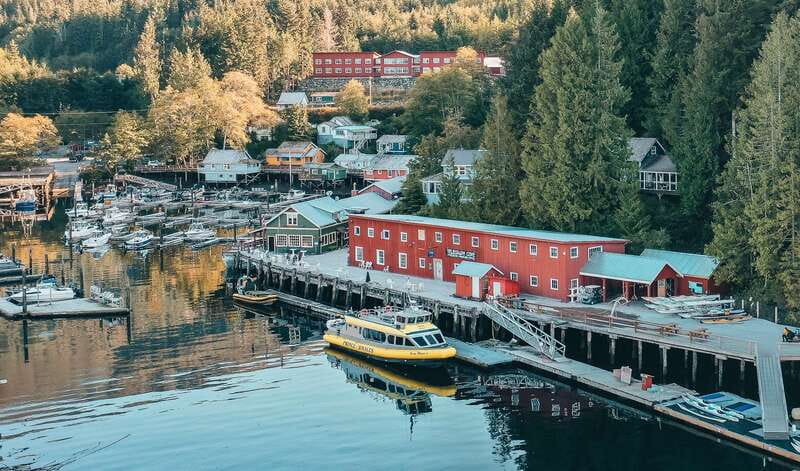 Telegraph Cove: 3-Hour Whale Watching Tour in a Zodiac Boat - The Excitement of Wildlife Encounters in BCs Coastal Waters