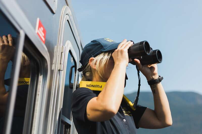 Telegraph Cove: Whale Watching Adventure with Free Photos - The Design and Comfort of the Ocean Magic II Vessel