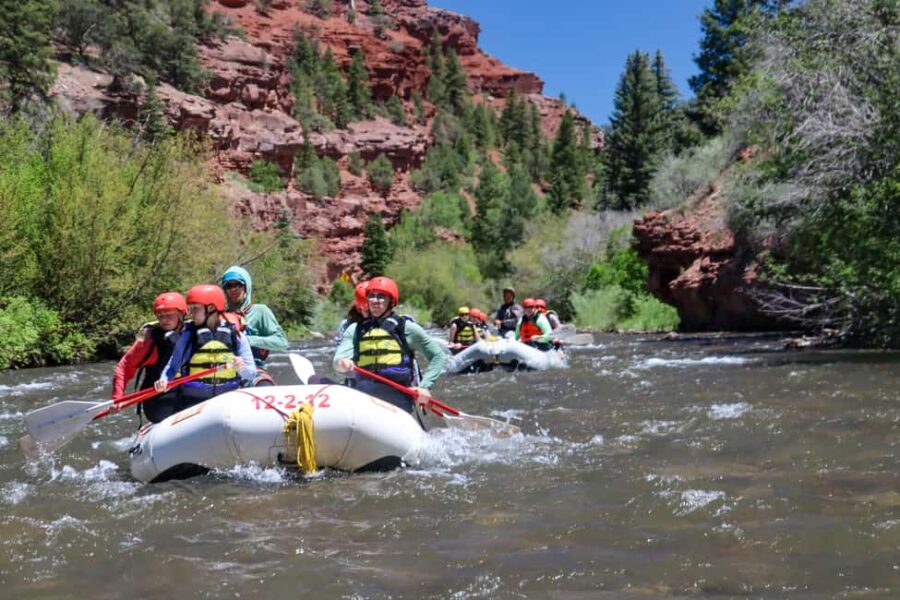 Telluride 1 Day Rafting Trip with Lunch - San Miguel River - Starting Point and Group Size for a Personal Experience