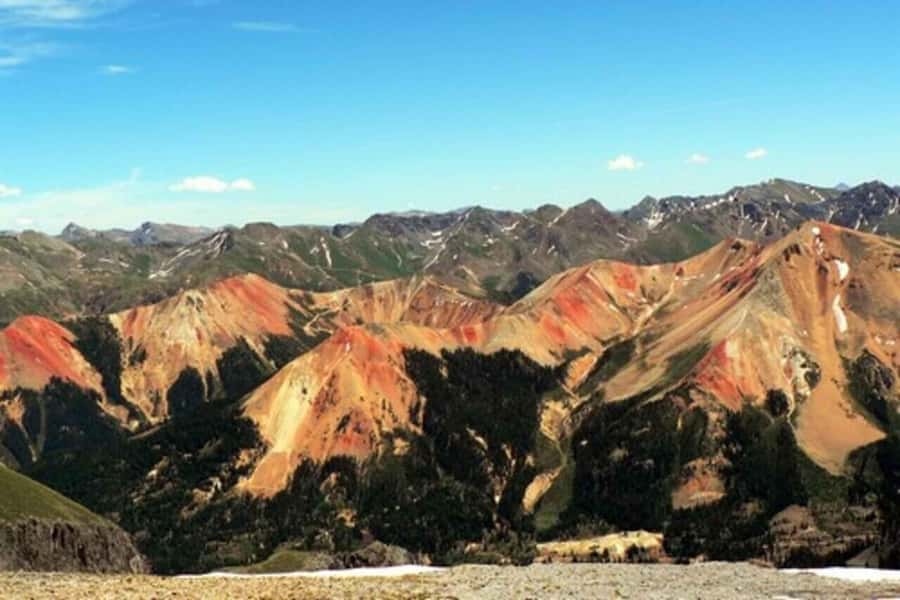Telluride Half Day Jeep Tours - Exploring the Trails of Imogene Pass and Beyond