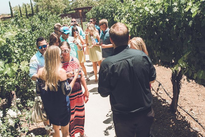 Temecula Valley Afternoon Wine Tour with Tastings and Cheeseboard - Comfortable Transportation with a Climate-Controlled Coach