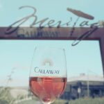 Temecula Valley Wine Tour with Tastings & Lunch Included - Exploring Temecula’s Old Town and Local Attractions