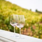 Temecula Wine Tour from Orange County - Starting Point and Transportation Comfort