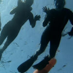 Tenerife: Alcalá Guided Snorkeling Tour - Starting Point at DiveBase Tenerife in Alcalá