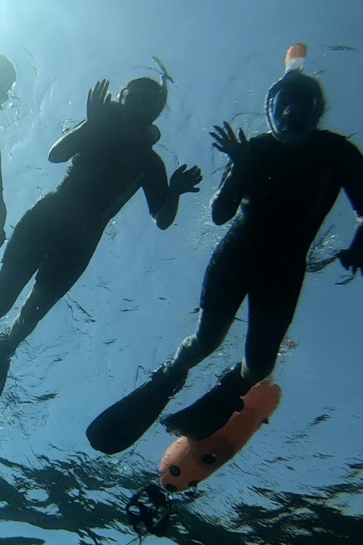 Tenerife: Alcalá Guided Snorkeling Tour - Starting Point at DiveBase Tenerife in Alcalá