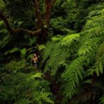 Tenerife: Anaga and La Laguna VIP Tour - Exploring the UNESCO-listed Historic Center of La Laguna