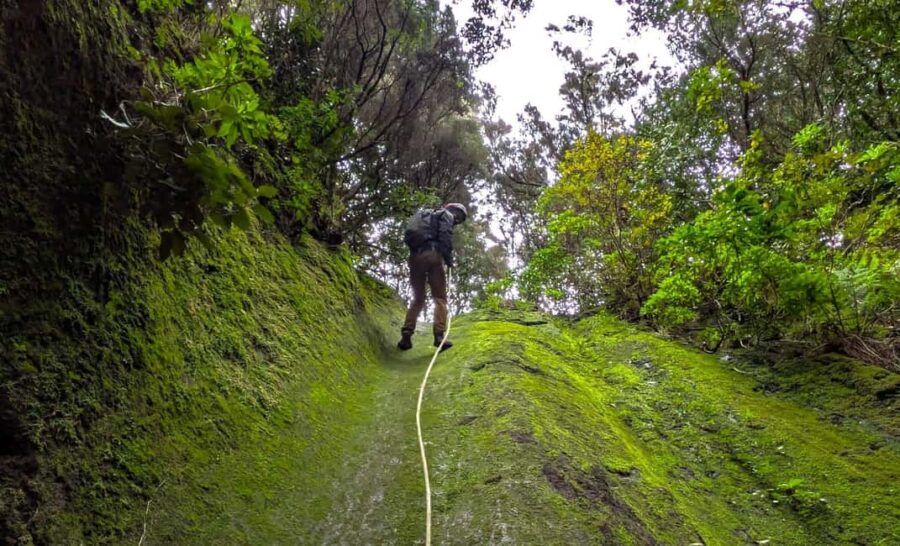 Tenerife: Canyoning Adventure with Hotel Pickup - Hotel Pickup and Transport Logistics