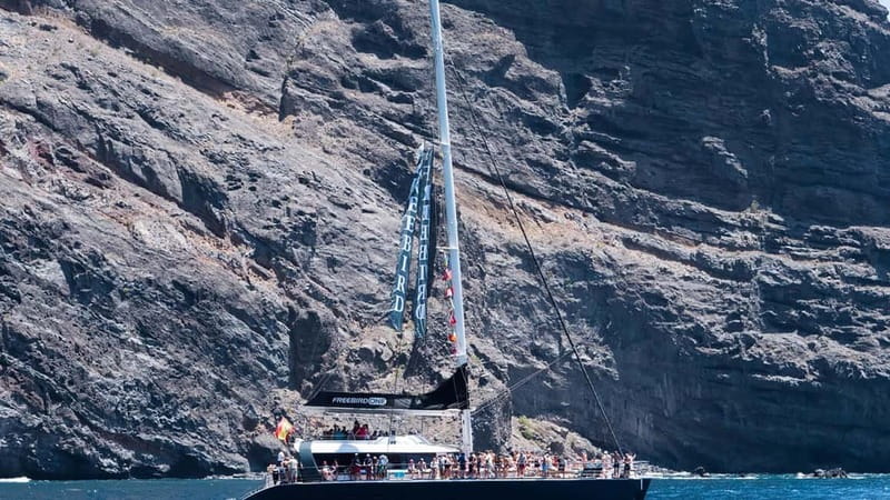 Tenerife: Catamaran Cruise with an Open Bar - Departing from Southern Tenerife with Convenient Pickup