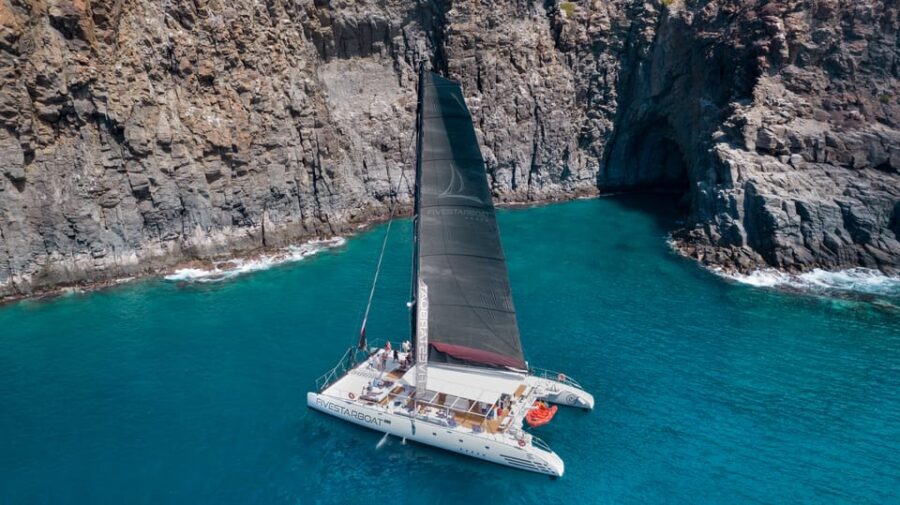 Tenerife: Catamaran Cruise with Brunch and Unlimited Drinks - Marine Life Encounters: Dolphins and Whales