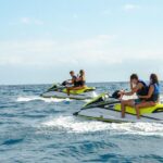 Tenerife Double Jet Ski Safari 2-Hour Guided Tour - Boat Transfer to the Jet Skis