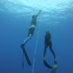 Tenerife: Freediving Discovery Course - In-Depth Theoretical Session on Apnea Fundamentals