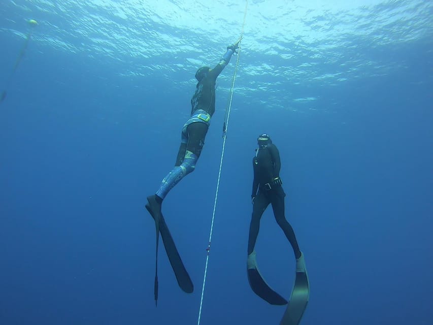 Tenerife: Freediving Discovery Course - In-Depth Theoretical Session on Apnea Fundamentals