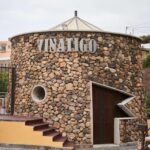 Tenerife: Guided tour with tasting of 6 wines - The Variety Garden: A First Glimpse into Canary Grape Diversity