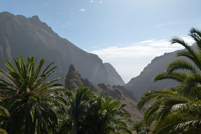 Tenerife Highlights Full-Day Tour - Starting from South Tenerife to the UNESCO World Heritage Site