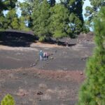 Tenerife: Hiking among volcanoes in the Chinyero Nature Reserve - Starting Point and Transport to the Volcano Trails