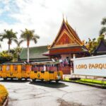 Tenerife: Loro Parque & Siam Park Entry Ticket with Transfer - Visiting Loro Parque: Animal Encounters and Shows