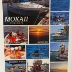 Tenerife south: safari with luxury boat , animals encounters - The Itinerary: From Las Galletas to Dolphin and Whale Encounters