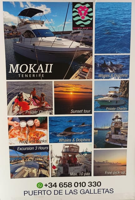 Tenerife south: safari with luxury boat , animals encounters - The Itinerary: From Las Galletas to Dolphin and Whale Encounters