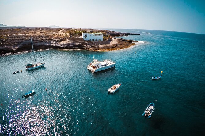 Tenerife Sunset Catamaran tour with transfer - Food and Drinks included. - Wildlife Watching: Whales, Dolphins, and Sea Turtles