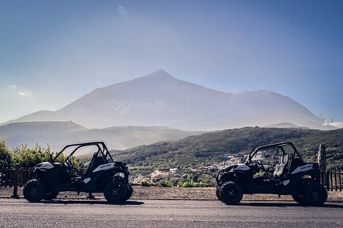 Tenerife Teide National Park Buggy Tour with Hotel Transfer - Visiting Pico Viejos Crater and Volcanic Vents