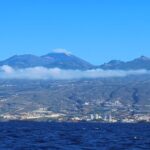 Tenerife Whales and Dolphins Watching Experience in Catamaran - Starting Point in Costa Adeje at Marina Puerto Colón