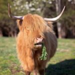 Tennessee: Cedar Pond Farms Floral Jewelry Workshop - Picking Seasonal Flowers in Cedar Pond Farms Gardens