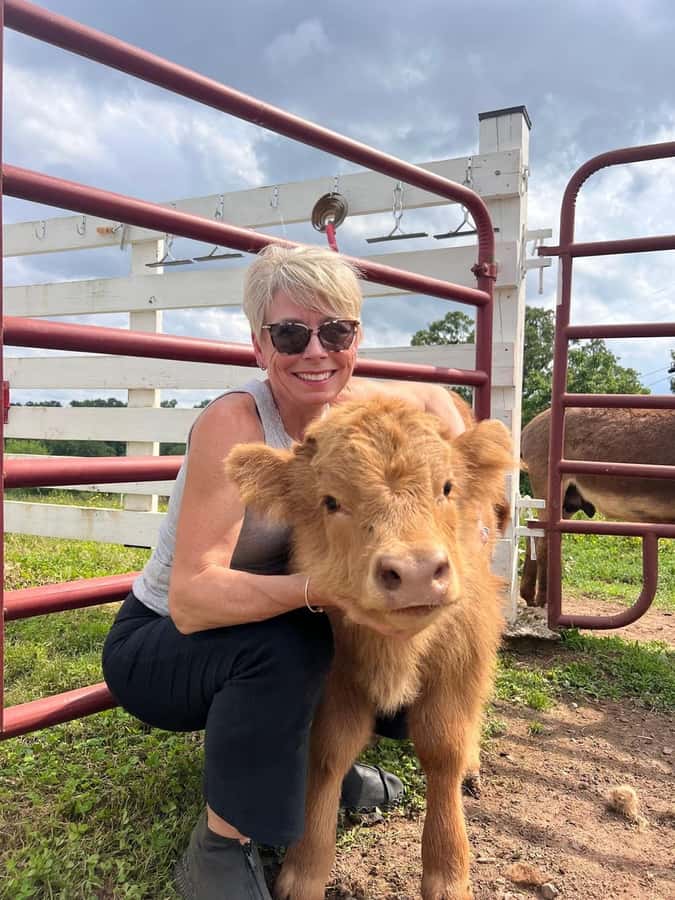 Tennessee: Fluffy Highland Cow Experience + Gelato & Coffee - Duration and Group Size