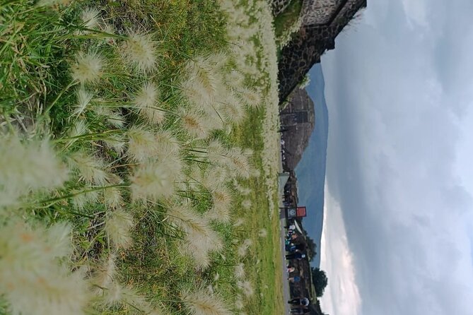 Teotihuacan Pyramids small groups and Basilica of Guadalupe - Starting at the Teotihuacan Pyramids in the Afternoon