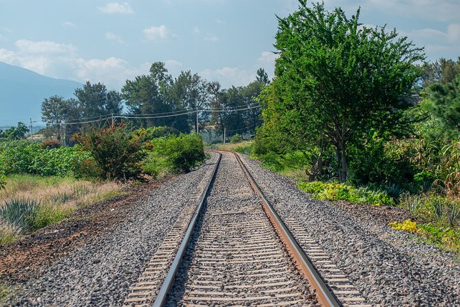 Tequila Agave & Rural Horseback Adventure in El Arenal - Starting Point: Rancho Agavero Don Jacinto in El Arenal