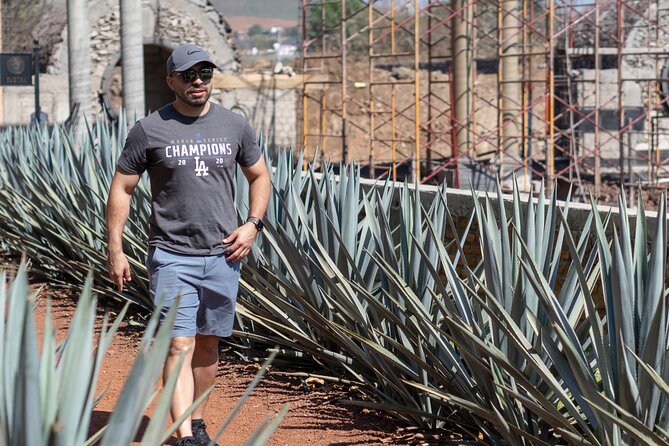 Tequila Day Trip - Visiting Cava de Oro: Tequila’s Artisanal Distillery