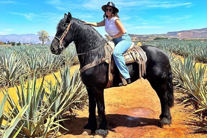 Tequila Pueblo Magico Adventure Day Trip from Puerto Vallarta - Discovering Tequila Tres Mujeres in Amatitán