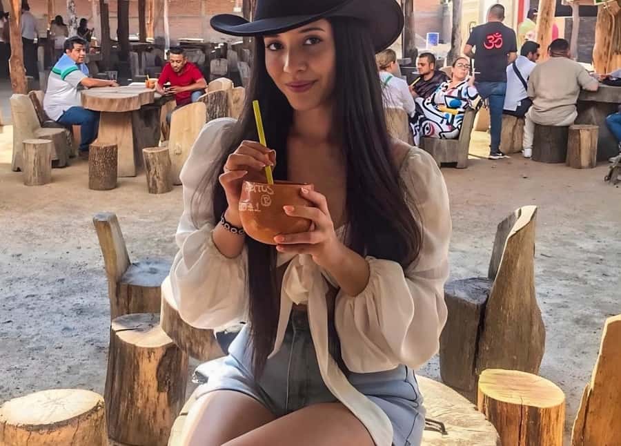 Tequila Tour & Cantaritos from Guadalajara - Starting Point and Transportation Logistics