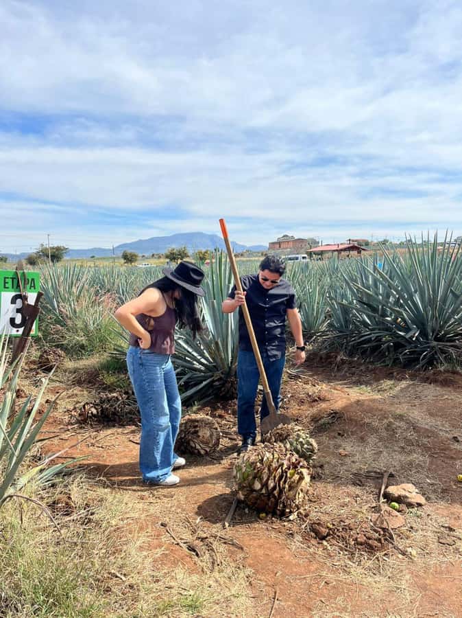 Tequila Tour from Guadalajara: Barrel Ride in Tequila - Exploring Campos de Agave: The Heart of Tequila Production