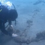 Terceira Azores: Scuba-Double dive Trip(certified Divers) - The Highlights of the First Dive Spot in Terceira