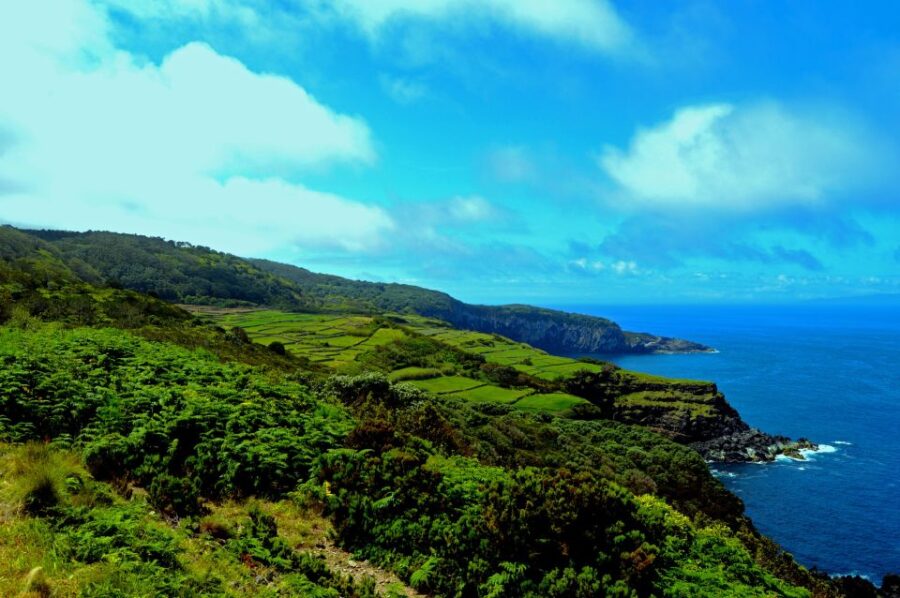 Terceira: Half-Day Island Tour with Cheese Tasting - Starting from Angra do Heroísmo to the Fishing Port of São Mateus