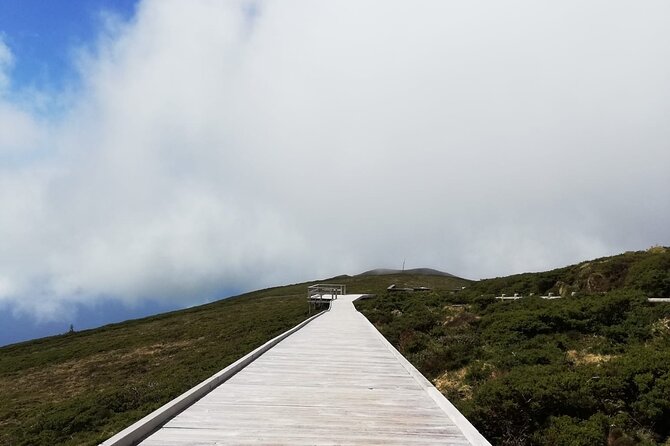 Terceira Island full day tour - Discovering Praia da Vitória: Old Streets and Coastal Views