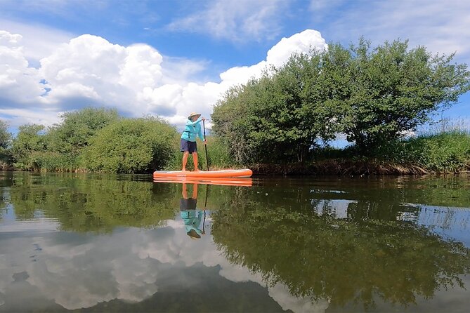 Teton River Paddleboard Adventure - 4.5 Miles - Paddleboarding Along the Scenic Teton River