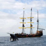 Thar She Blows! Whale Watching Pirate Cruise - Discovering Cabo’s Landmarks from the Sea