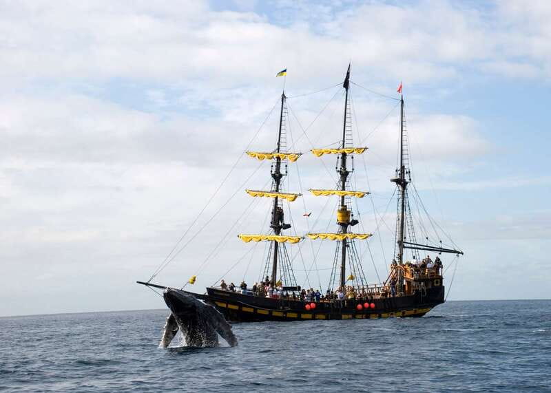 Thar She Blows! Whale Watching Pirate Cruise - Discovering Cabo’s Landmarks from the Sea