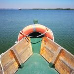 The Albufera Natural Park Private Tour from Valencia with transport - Exploring El Palmar, the Heart of the Lake