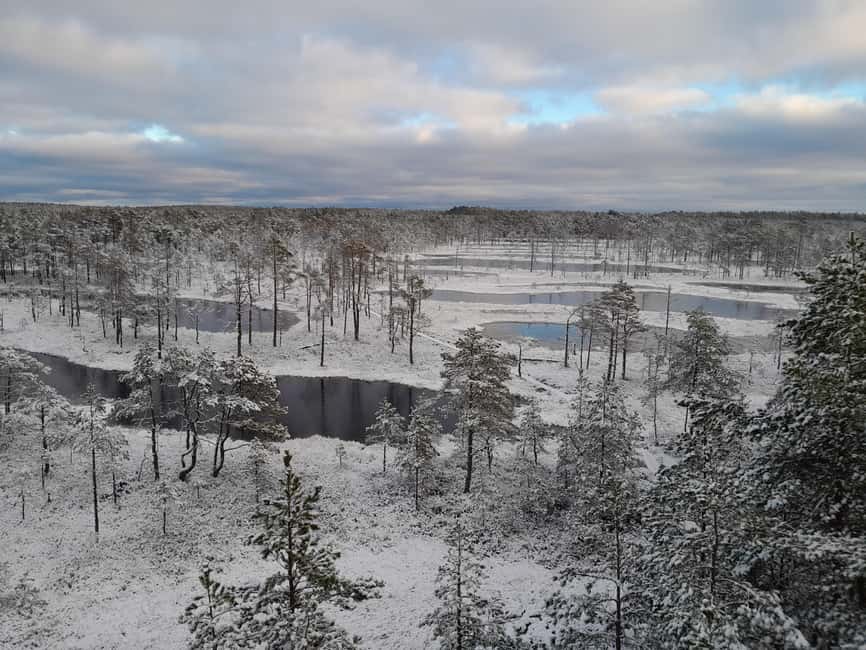 The Authentic Lahemaa daytour Carmen reisid - Exploring Lahemaa National Park’s Natural Beauty