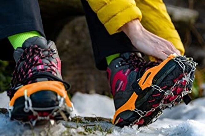 The BANFF NATURE Walk - 2hr Adventure - The Intimate Small-Group Experience