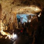 The Bear's Cave - One-Day Air conditioned car Tour from Oradea - Convenient Hotel Pickup and Drop-off Service