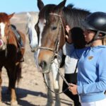 The Best Horse Riding Experience in Gran Canaria (1 hour) - The Meeting Point and Easy Logistics