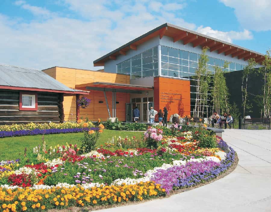 The Best of Fairbanks: Half-Day City Highlights Tour - Viewing the Trans Alaska Pipeline at its Best