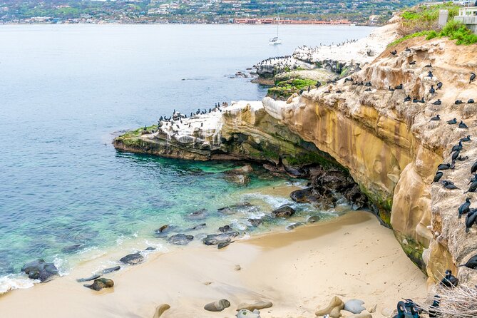 The Best of La Jolla Walking Tour: Sip, Savor & Sea - Tasting Tacos and Margaritas at Puesto La Jolla